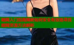暗网入门指南揭秘如何安全有效地寻找暗网资源方法解析