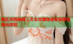 暗区突围禁网三天全攻略快速恢复网络畅玩体验