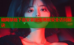 暗网禁地下载安装指南揭秘安全访问秘诀