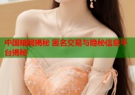 中国暗网揭秘 匿名交易与隐秘信息平台揭秘