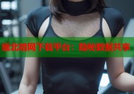 缅北暗网下载平台：隐秘数据共享