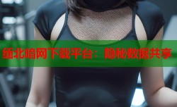 缅北暗网下载平台：隐秘数据共享