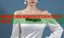 暗网禁区揭秘黑暗网络背后的秘密与风险探索
