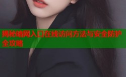 揭秘暗网入口在线访问方法与安全防护全攻略