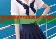 揭秘暗网网站背后的秘密与风险全面解析