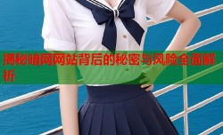 揭秘暗网网站背后的秘密与风险全面解析