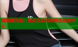 暗网黑死病：匿名交易与恐怖活动的中心