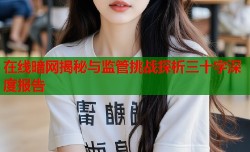 在线暗网揭秘与监管挑战探析三十字深度报告