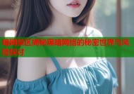 暗网禁区揭秘黑暗网络的秘密世界与风险探讨