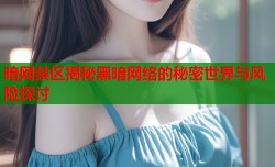 暗网禁区揭秘黑暗网络的秘密世界与风险探讨