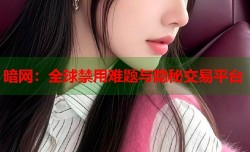 暗网：全球禁用难题与隐秘交易平台
