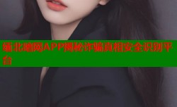 缅北暗网APP揭秘诈骗真相安全识别平台