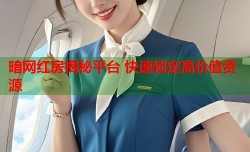 暗网红房揭秘平台 快速锁定高价值资源
