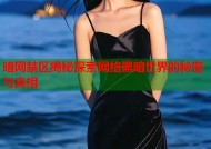 暗网禁区揭秘探索网络黑暗世界的秘密与真相