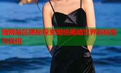 暗网禁区揭秘探索网络黑暗世界的秘密与真相