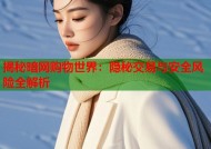 揭秘暗网购物世界：隐秘交易与安全风险全解析