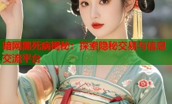 暗网黑死病揭秘：探索隐秘交易与信息交流平台