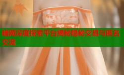 暗网深度探索平台揭秘隐秘交易与匿名交流