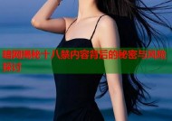 暗网揭秘十八禁内容背后的秘密与风险探讨