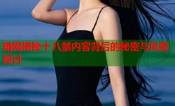 暗网揭秘十八禁内容背后的秘密与风险探讨