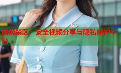 暗网禁区：安全视频分享与隐私保护平台