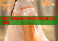 暗网下载揭秘探索隐秘网络资源的风险与机遇