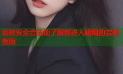 如何安全合法地了解和进入暗网的完整指南