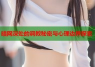 暗网深处的调教秘密与心理边界探索