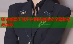 缅甸暗网下载平台揭秘高速安全隐秘资源获取