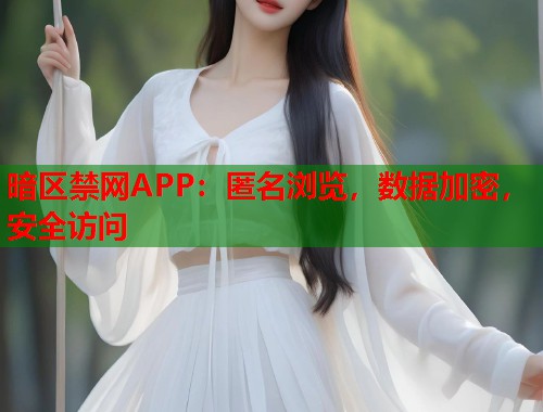 暗区禁网APP：匿名浏览，数据加密，安全访问  第1张
