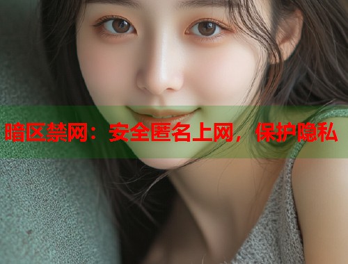 暗区禁网：安全匿名上网，保护隐私  第1张