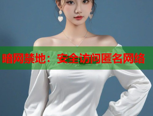 暗网禁地：安全访问匿名网络  第1张
