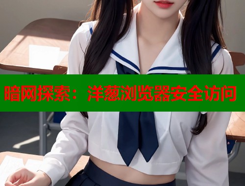 暗网探索：洋葱浏览器安全访问  第1张