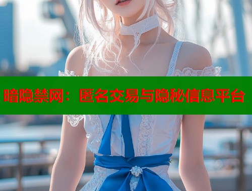 暗隐禁网：匿名交易与隐秘信息平台  第1张