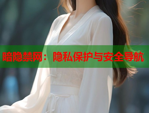 暗隐禁网：隐私保护与安全导航  第1张