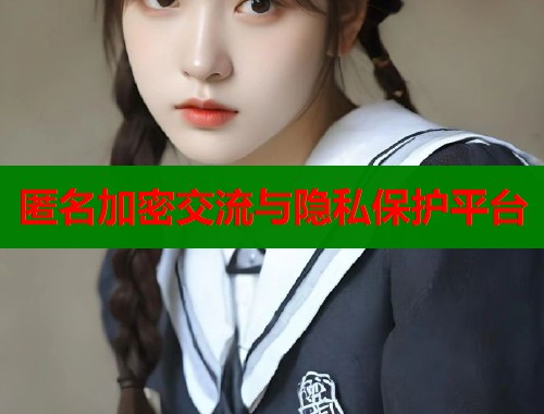  匿名加密交流与隐私保护平台 第1张