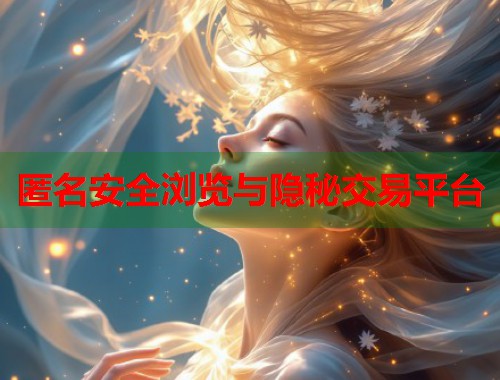  匿名安全浏览与隐秘交易平台 第1张