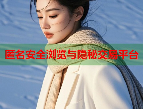 匿名安全浏览与隐秘交易平台 第2张