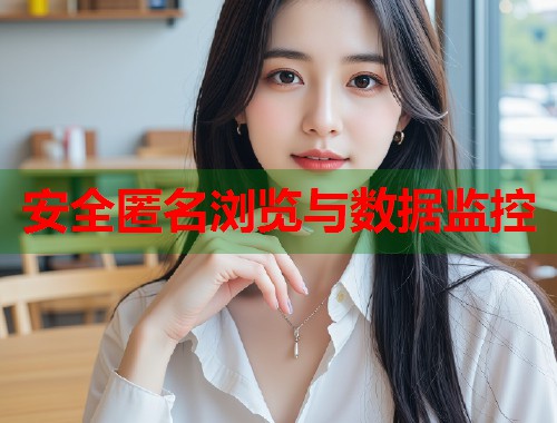  安全匿名浏览与数据监控 第1张