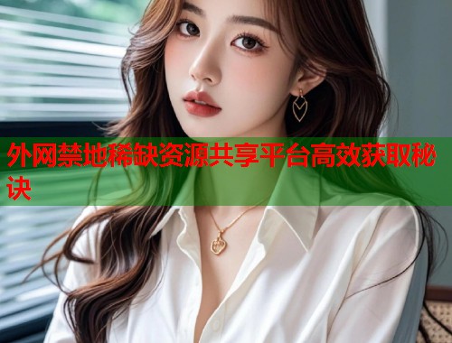 外网禁地稀缺资源共享平台高效获取秘诀  第1张