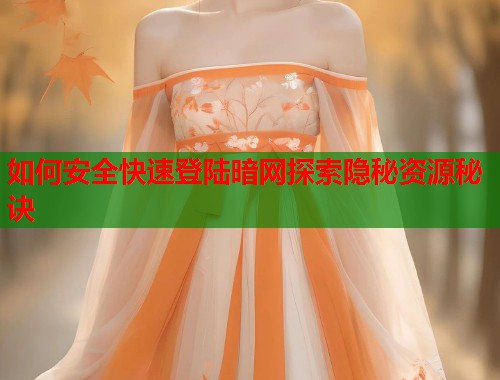 如何安全快速登陆暗网探索隐秘资源秘诀  第1张