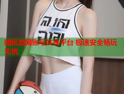 暗区禁网账号共享平台 极速安全畅玩无忧  第1张