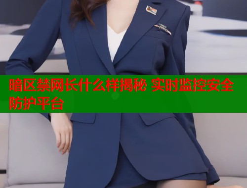 暗区禁网长什么样揭秘 实时监控安全防护平台  第1张