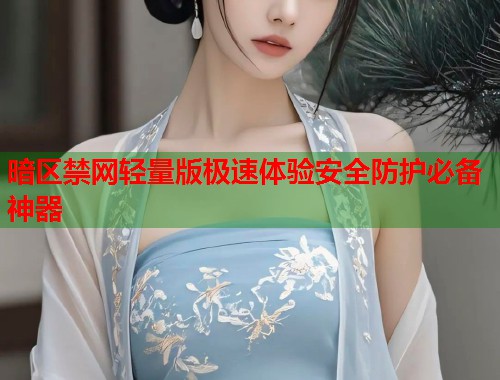 暗区禁网轻量版极速体验安全防护必备神器  第2张