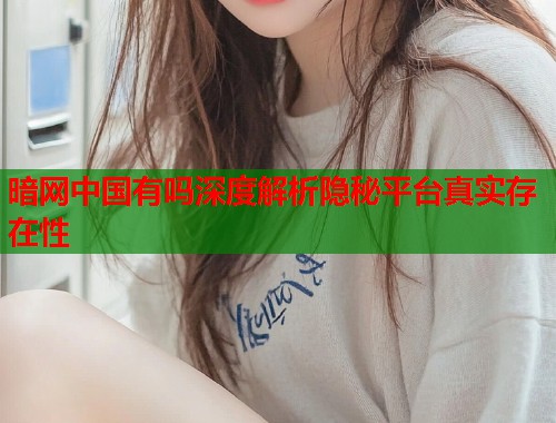 暗网中国有吗深度解析隐秘平台真实存在性  第1张
