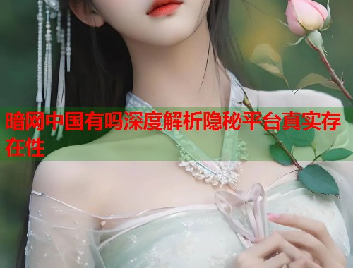暗网中国有吗深度解析隐秘平台真实存在性  第2张