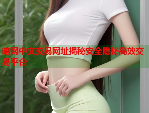 暗网中文交易网址揭秘安全隐秘高效交易平台  第1张
