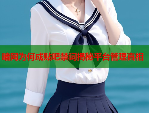 暗网为何成贴吧禁词揭秘平台管理真相  第2张