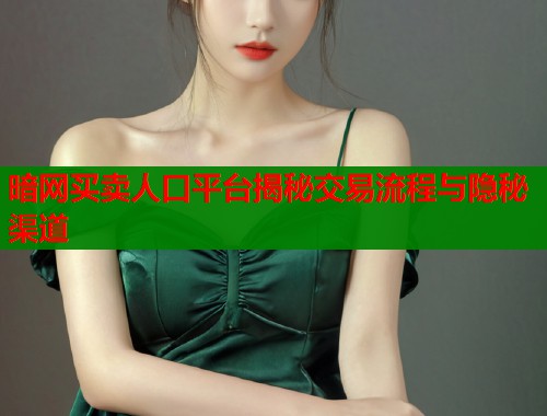 暗网买卖人口平台揭秘交易流程与隐秘渠道  第1张