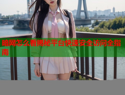 暗网怎么看揭秘平台快速安全访问全指南  第1张
